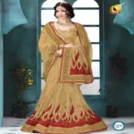 Shringar Cream New Fancy Net Saree