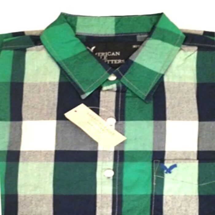 American Eagle Outfitters-Green Blue Check Shirt