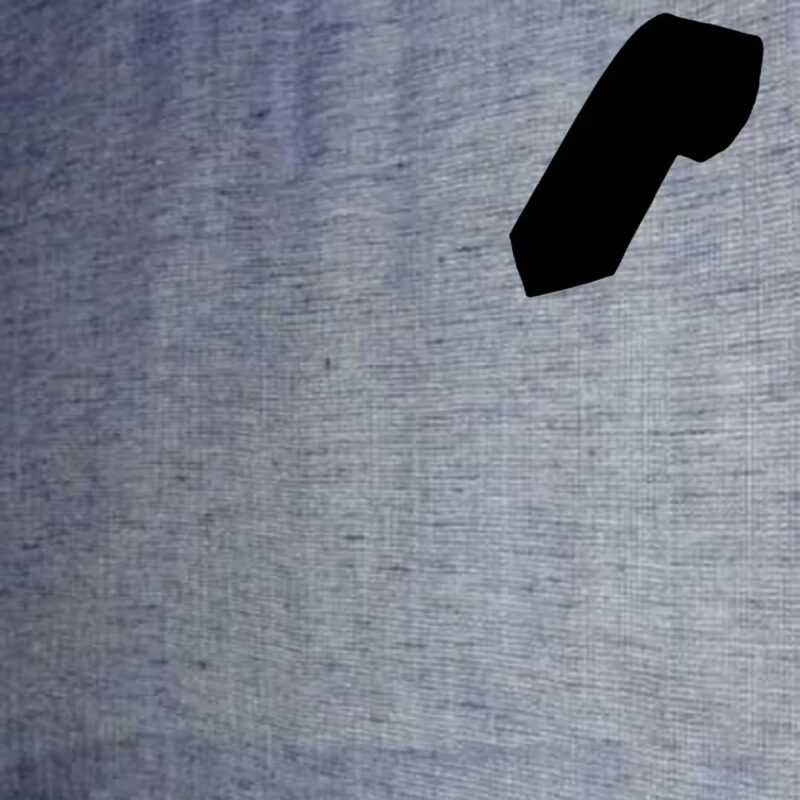 Raymond White With Blue Self Print Shirting Fabric Free Tie