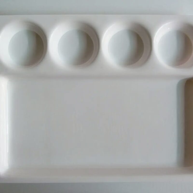 Chhajer Handicraft Acrylic 5 Partition Plate