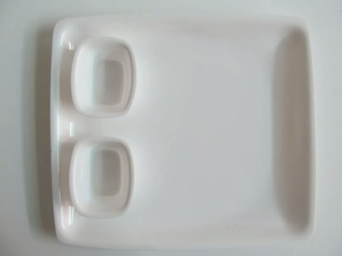 Chhajer Handicraft Acrylic Rectangle Plate with Bowls
