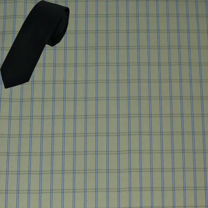 Raymond Men Poly blended Shirt Fabric_Multi Free Tie