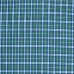 Raymond Green Check Shirting Fabric