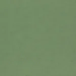 Raymond Plain Green Shirting Fabric