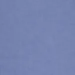 Raymond Plain Purple Shirting Fabric