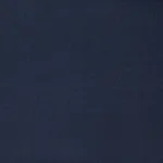 Raymond Navy Poly Blended Suit Fabric