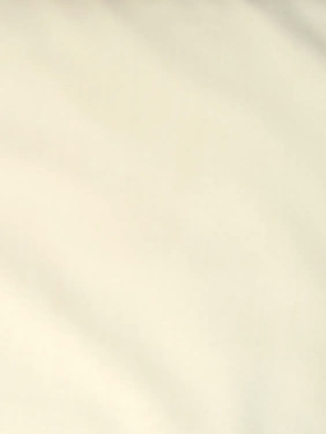 Raymond Yellow Plain Cotton Blended Shirting Fabric
