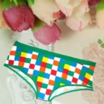Gorgeous Multi  Color Check Printed Panties