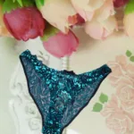 Hypnotic Velvet Front and Transparent Back Panty