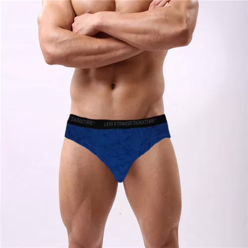 Levis Strauss Regular Fit Underwear-Sky Blue