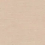 Raymond -Classic Light Brown Plain Shirt Fabric