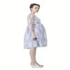 Radiation Safe- Comfortable Contrasting Lace Maternity Dress - Image 2