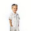 Raymond -Cotton Multicolor Stripes Shirting Fabric - Image 5
