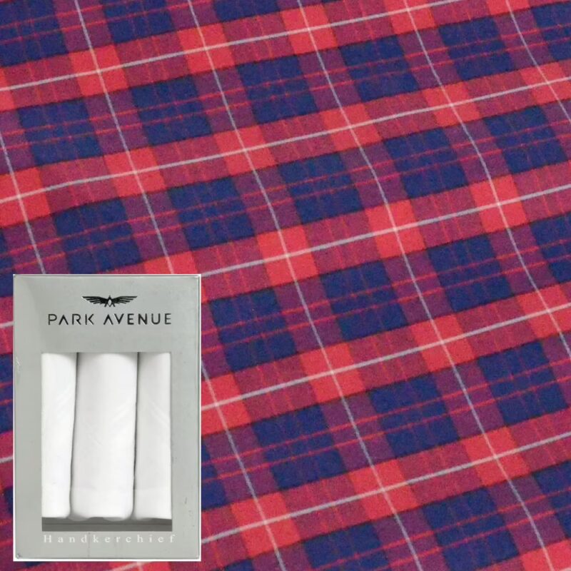 Raymond Shirting Fabric With Free Handkerchief
