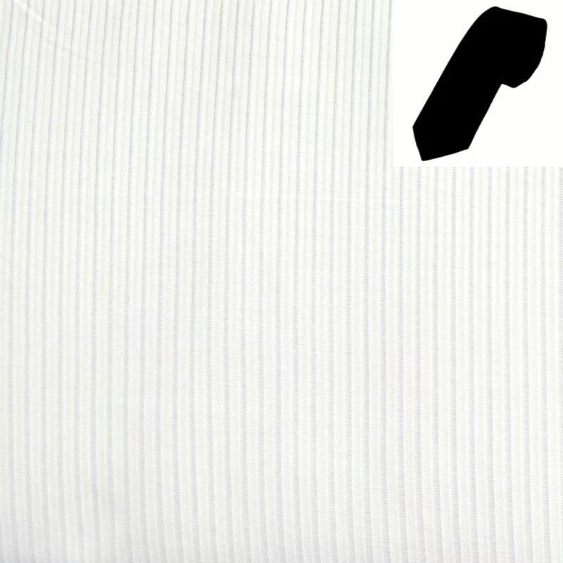 Raymond - Dual Shade Lining Shirting Fabric Free Tie