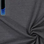 Raymond Light Grey Suit Fabric Free Deo