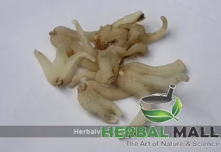 Herbal Mall Salam Panja Powder (25g)