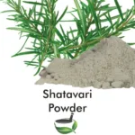 Herbal Mall Sataval (Shatavari) Powder (250g)