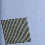 Raymond Combo Offer Of 2 Shirting fabric