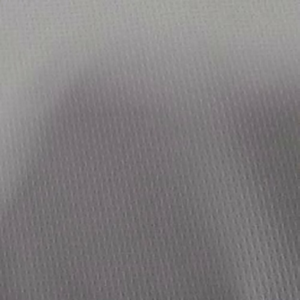 Raymond Light Green With White Linning Shirting Fabric