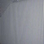 Raymond White With Blue Broad Linning Shirting Fabric