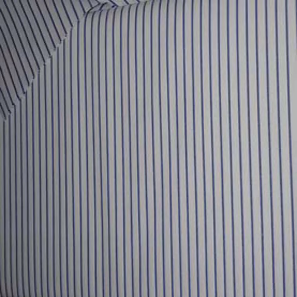 Raymond White With Blue Broad Linning Shirting Fabric