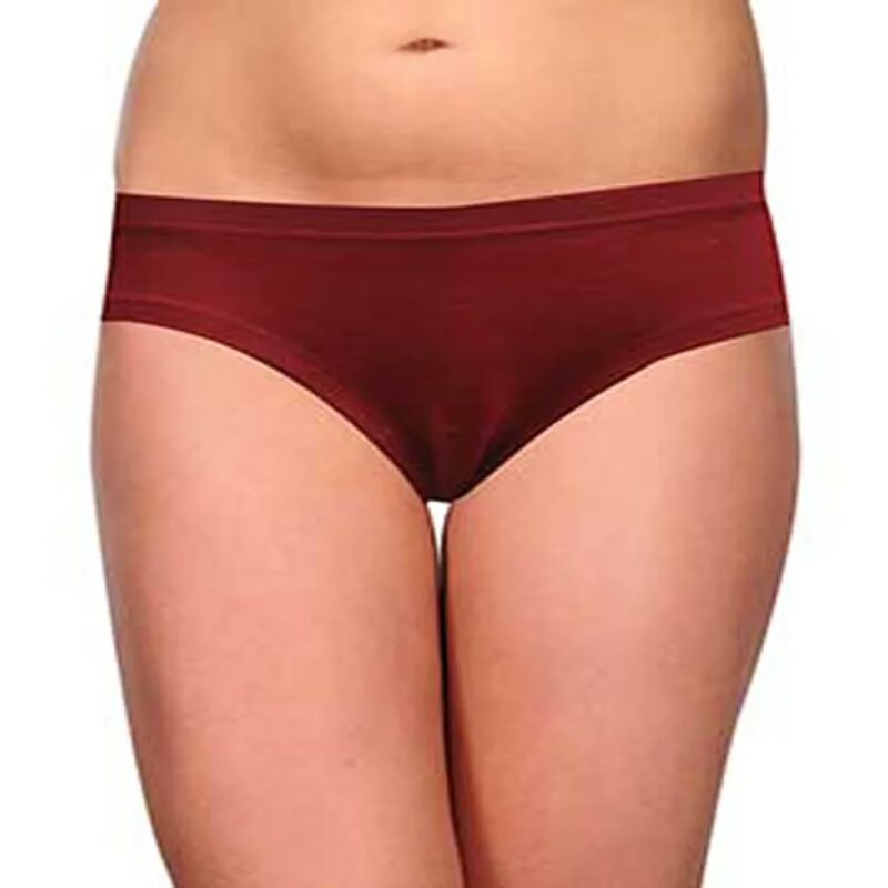 Comfortable Maroon Hi Cut Brief Panties