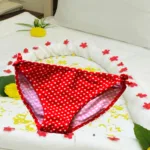 Divine Red Polka Dot Bikini Side Knot Brief Size XS-S