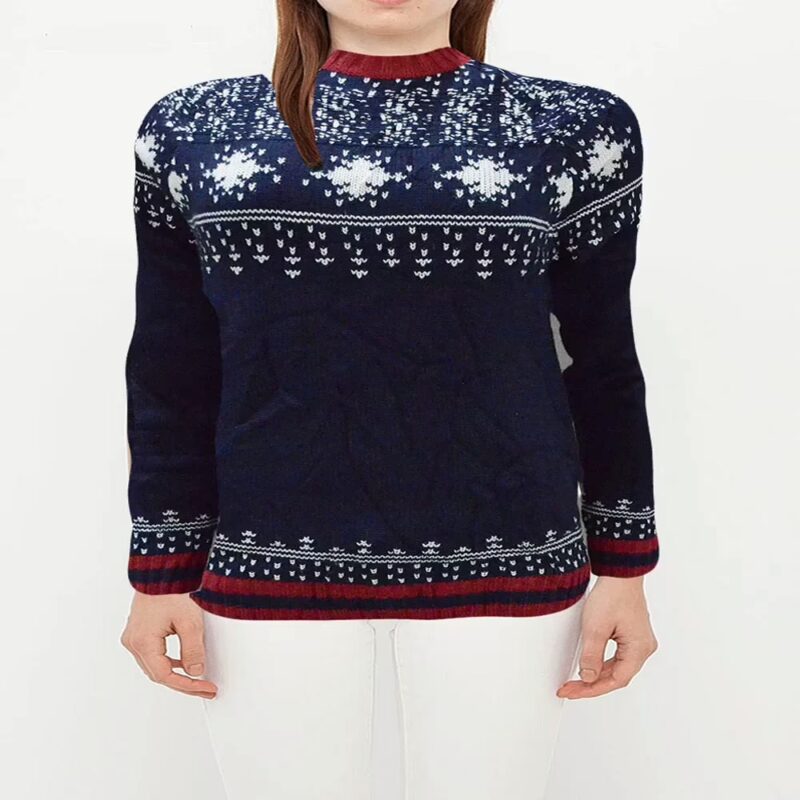 H & M  Blue Women Knitted Round Neck Geometric Print Pullover Sweater
