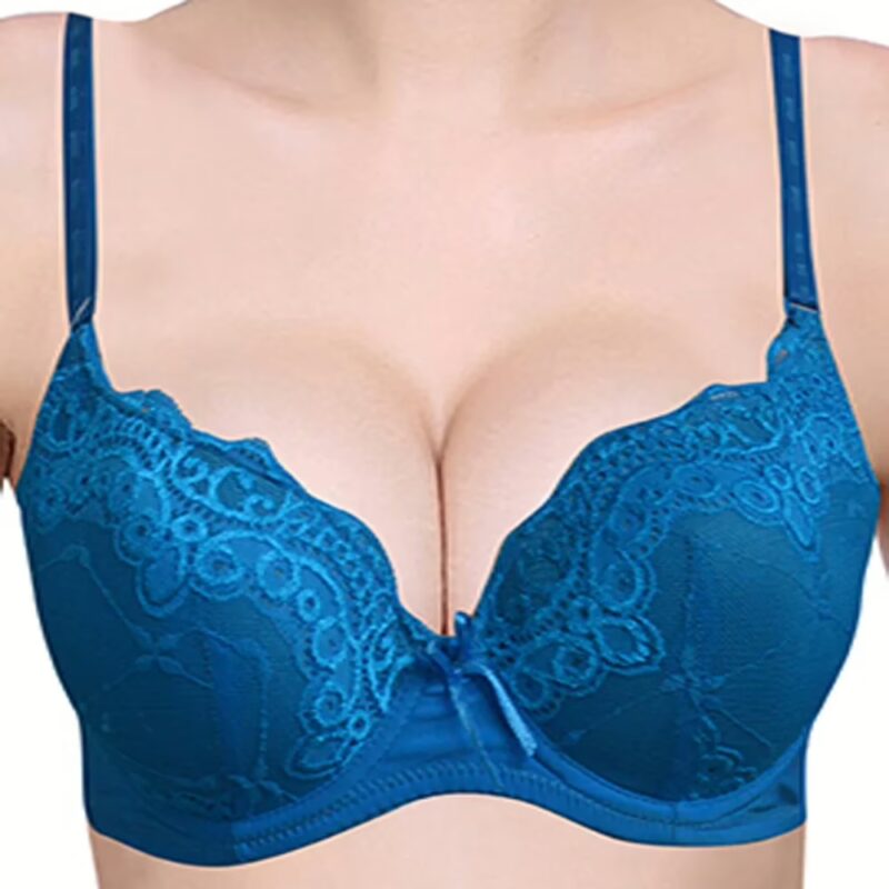 Hushh Dream Fit Women Padded Underwired Bra