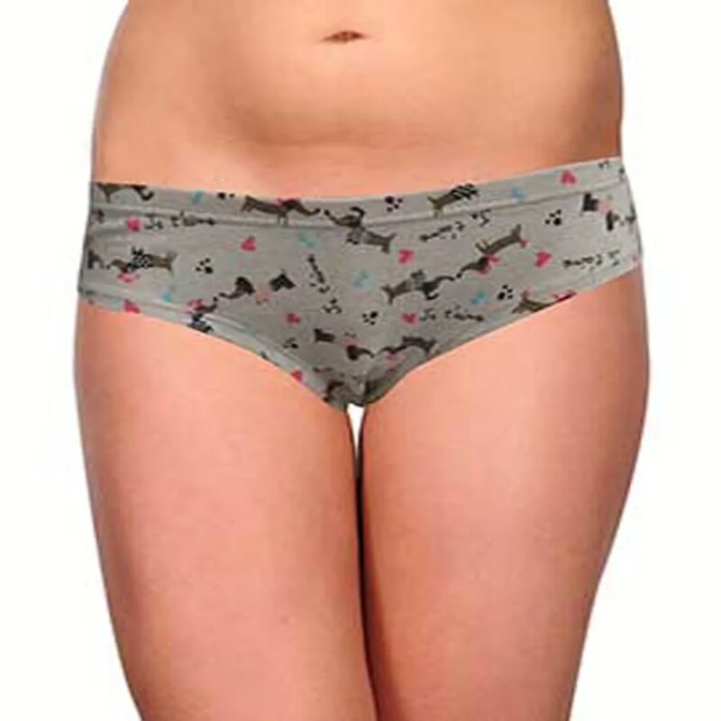 Lavish Primark Cream Printed Brief/Panties/Underwear