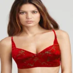 Marvellous Red Cut Work Bra