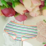 Multicolour Stripes Contrast Edges Cotton Brief Panties