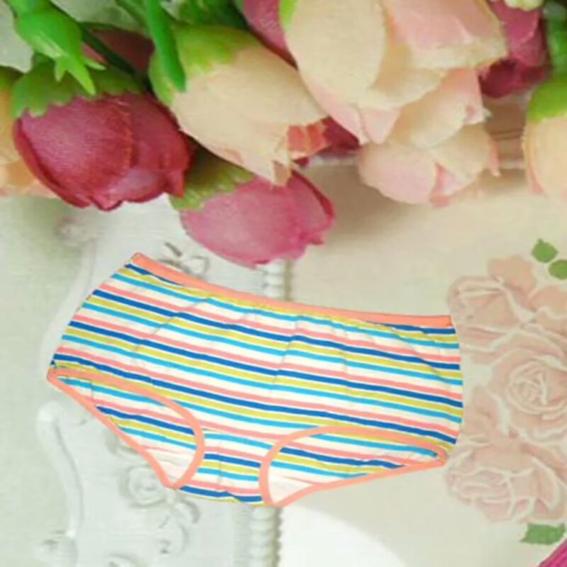 Multicolour Stripes Contrast Edges Cotton Brief Panties
