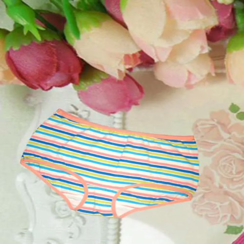 Multicolour Stripes Contrast Edges Cotton Brief Panties