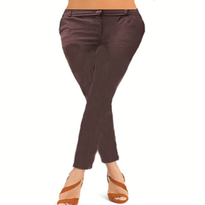 Stylish Women Brown Jeggings