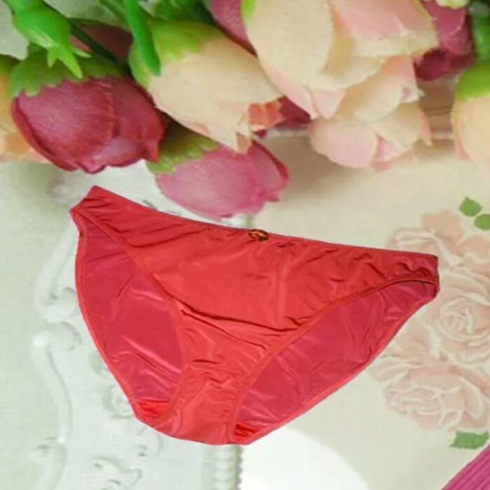 Plain Smooth Shimmering Hipster Brief Panties