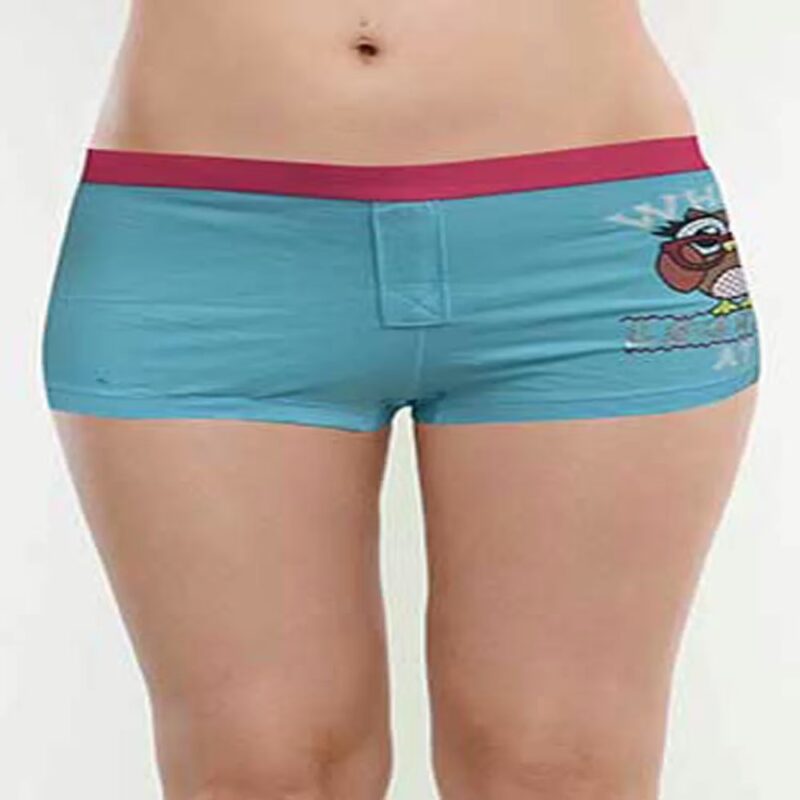 Primark Sky Blue Cartoon Printed Boyshort Panties