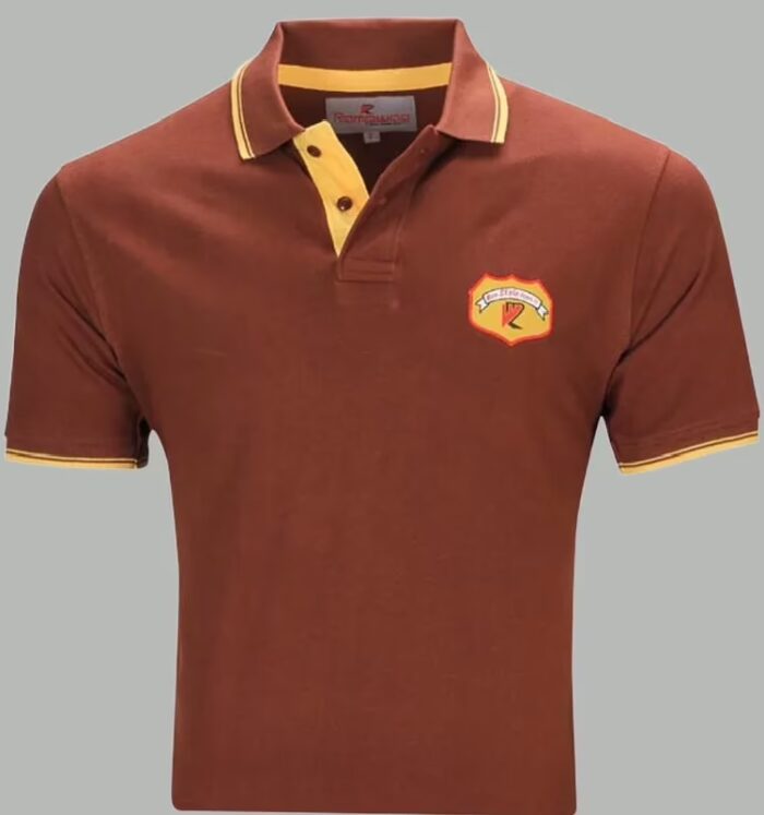 Rampwaq-Brown Solid Polo Tshirt
