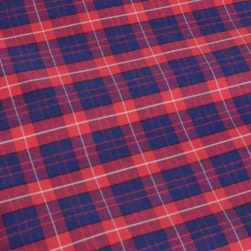 Raymond Blue & Red Large Check Shirting Fabric