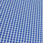 Raymond Blue & White Check Shirting Fabric