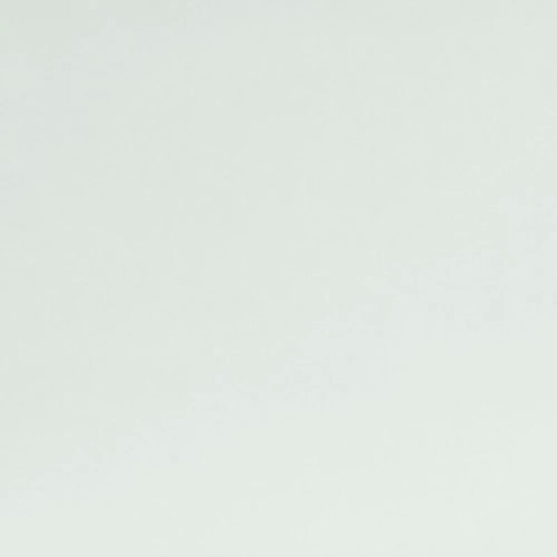 Raymond-Exquisite Plain Solid Shirt Fabric