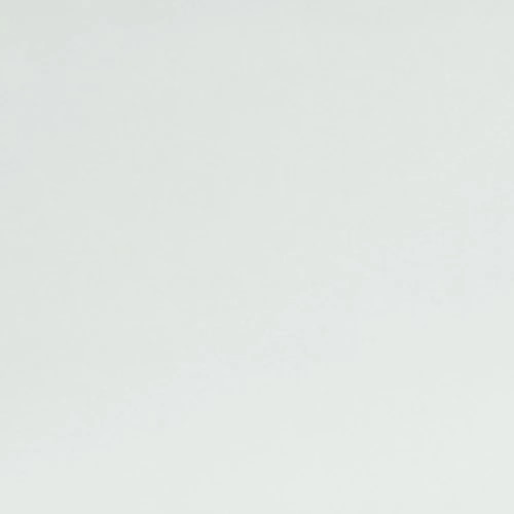 Raymond-Exquisite Plain Solid Shirt Fabric