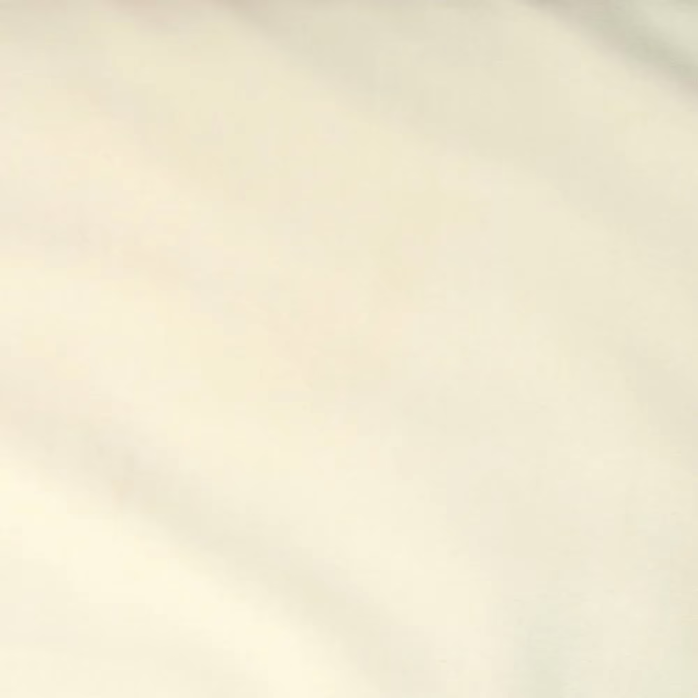 Raymond - Light Cream Plain Shirting Fabric