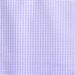 Raymond - Purple/White Check Shirting Fabric