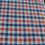 Raymond Red & Blue Check Shirting Fabric