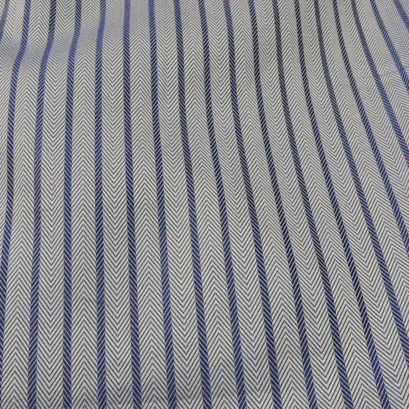 Raymond White & Blue Self Linning Shirting Fabric