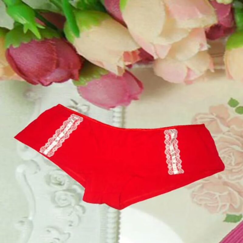 Red Lace Fine Stretch Cotton Panty