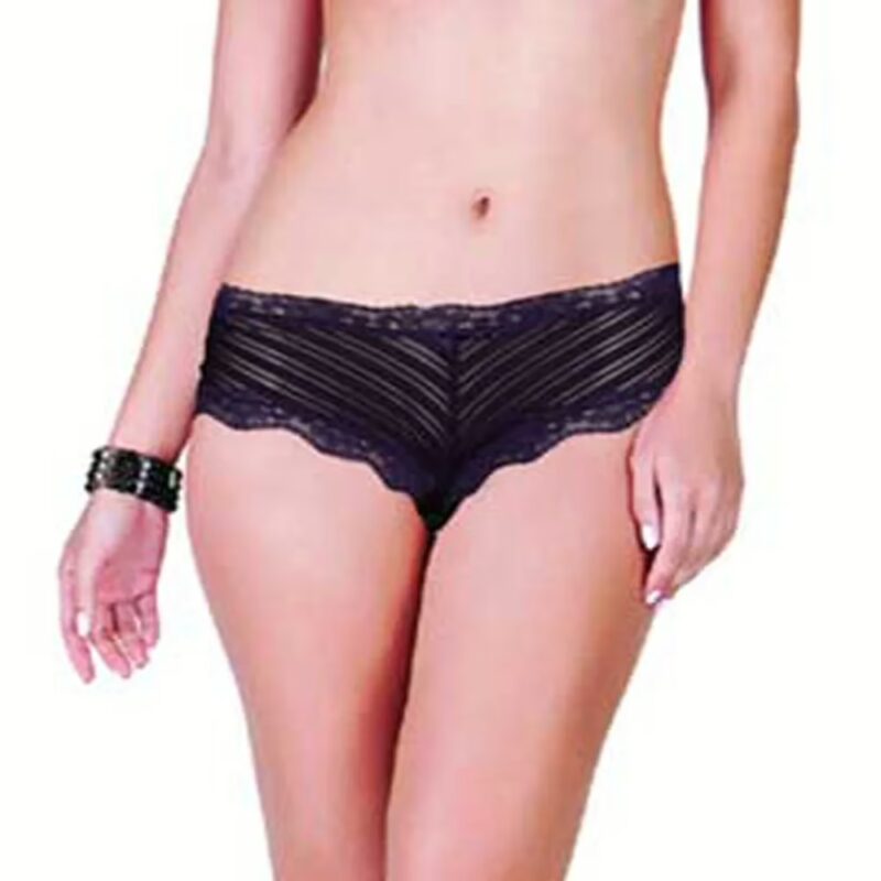 Ritzy Purple Stripes Lacy Brief/Panties/Underwear