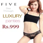 Wholesale Pack Of 5 See Through Brief Combo